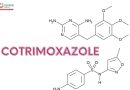 CẢNH BÁO TƯƠNG TÁC GIỮA COTRIMOXAZOL VÀ METFORMIN TRÊN BỆNH NHÂN SUY THẬN: THÔNG TIN TỪ TẠP CHÍ AUSTRALIAN PRESCRIBER
